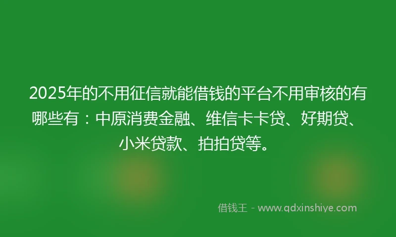 2025年的不用征信就能借钱的平台不用审核的有哪些有：中原消费金融、维信卡卡贷、好期贷、小米贷款、拍拍贷等。