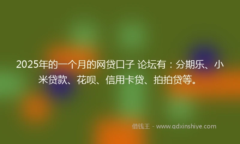 2025年的一个月的网贷口子 论坛有：分期乐、小米贷款、花呗、信用卡贷、拍拍贷等。