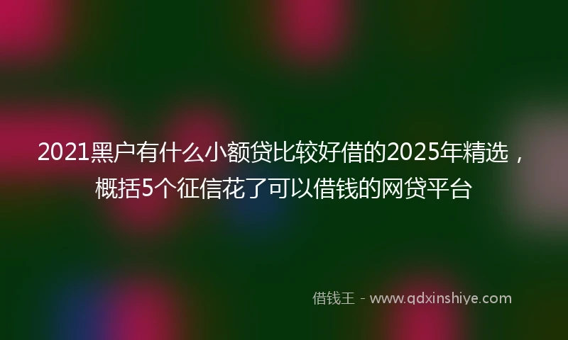 2021黑户有什么小额贷比较好借的2025年精选，概括5个征信花了可以借钱的网贷平台