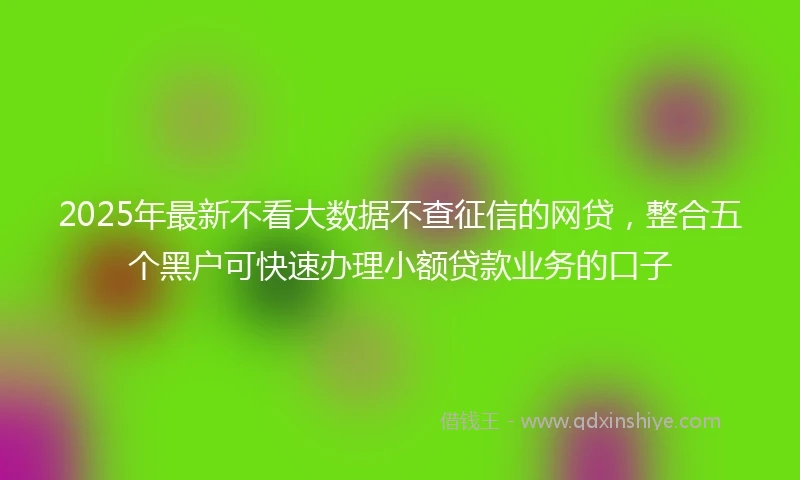 2025年最新不看大数据不查征信的网贷，整合五个黑户可快速办理小额贷款业务的口子