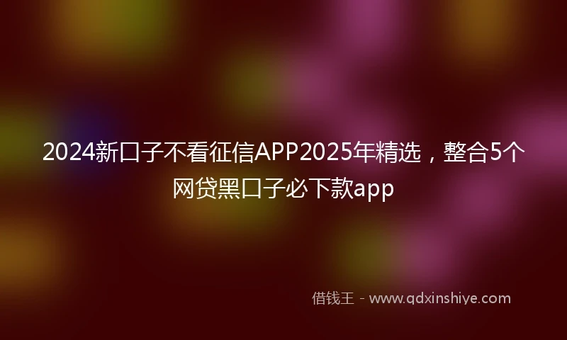 2024新口子不看征信APP2025年精选，整合5个网贷黑口子必下款app