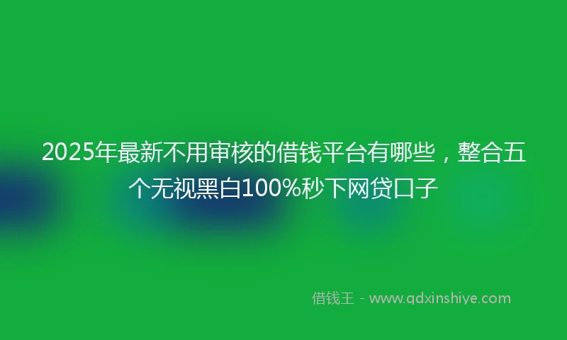 2025年最新不用审核的借钱平台有哪些，整合五个无视黑白100%秒下网贷口子