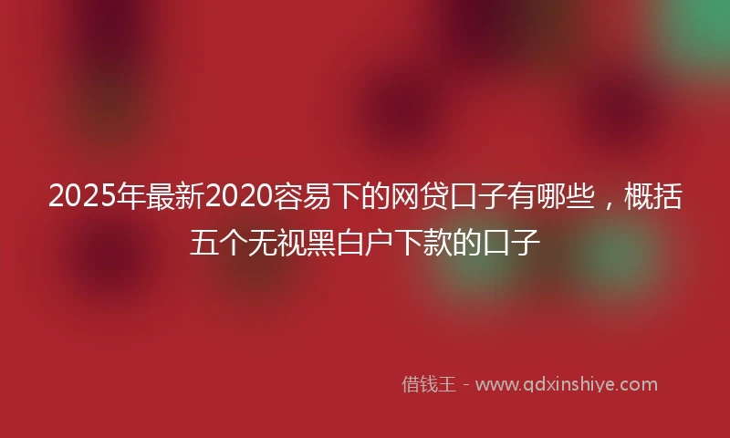 2025年最新2020容易下的网贷口子有哪些，概括五个无视黑白户下款的口子