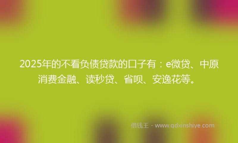2025年的不看负债贷款的口子有：e微贷、中原消费金融、读秒贷、省呗、安逸花等。