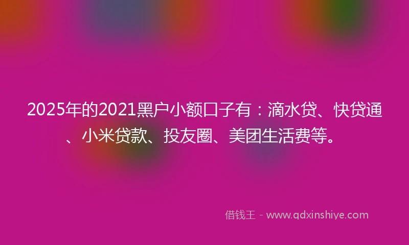 2025年的2021黑户小额口子有：滴水贷、快贷通、小米贷款、投友圈、美团生活费等。