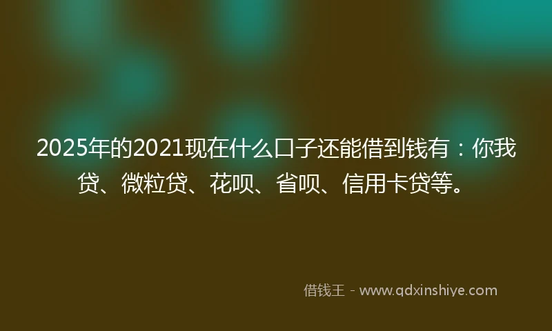 2025年的2021现在什么口子还能借到钱有：你我贷、微粒贷、花呗、省呗、信用卡贷等。