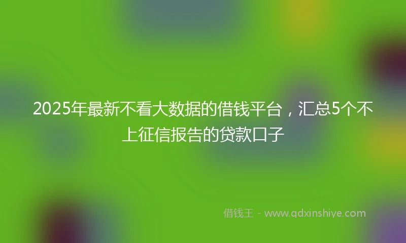 2025年最新不看大数据的借钱平台，汇总5个不上征信报告的贷款口子
