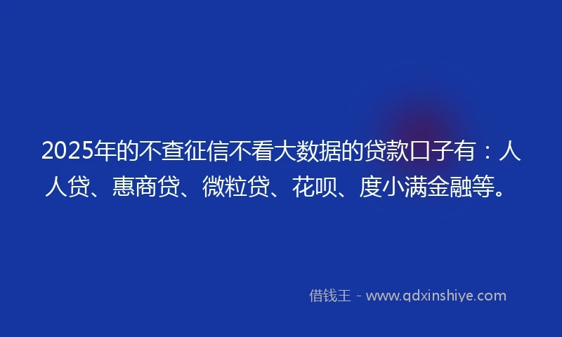 2025年的不查征信不看大数据的贷款口子有：人人贷、惠商贷、微粒贷、花呗、度小满金融等。