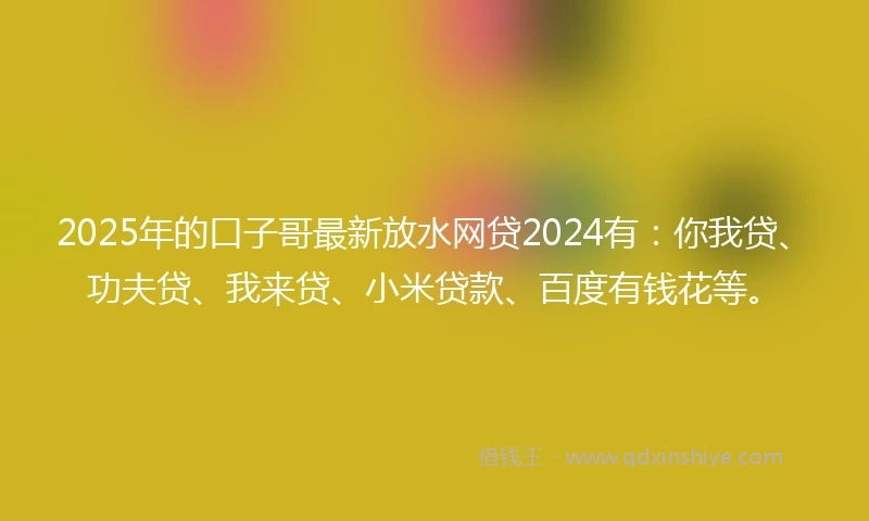 2025年的口子哥最新放水网贷2024有：你我贷、功夫贷、我来贷、小米贷款、百度有钱花等。