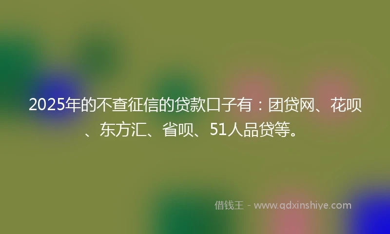 2025年的不查征信的贷款口子有：团贷网、花呗、东方汇、省呗、51人品贷等。