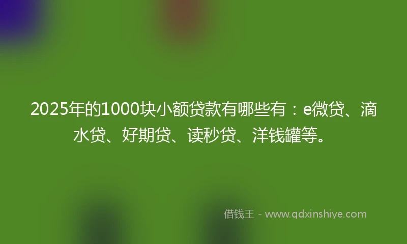 2025年的1000块小额贷款有哪些有：e微贷、滴水贷、好期贷、读秒贷、洋钱罐等。