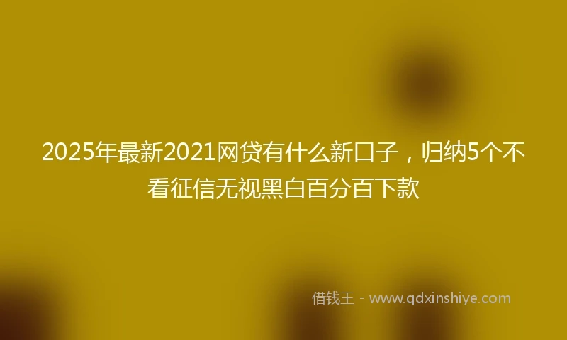2025年最新2021网贷有什么新口子，归纳5个不看征信无视黑白百分百下款