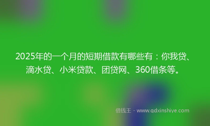 2025年的一个月的短期借款有哪些有：你我贷、滴水贷、小米贷款、团贷网、360借条等。