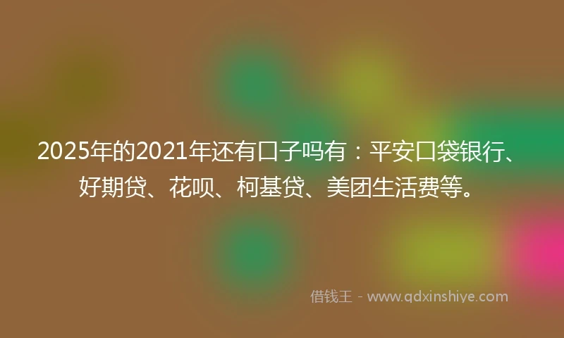 2025年的2021年还有口子吗有：平安口袋银行、好期贷、花呗、柯基贷、美团生活费等。