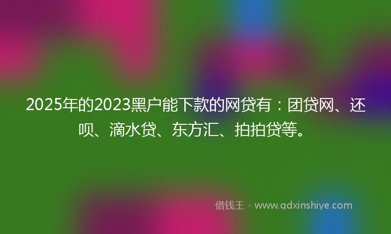 2025年的2023黑户能下款的网贷有：团贷网、还呗、滴水贷、东方汇、拍拍贷等。