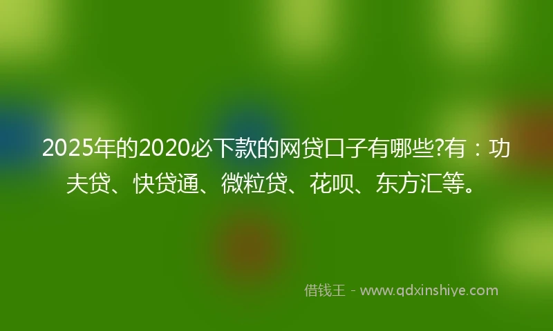 2025年的2020必下款的网贷口子有哪些?有：功夫贷、快贷通、微粒贷、花呗、东方汇等。