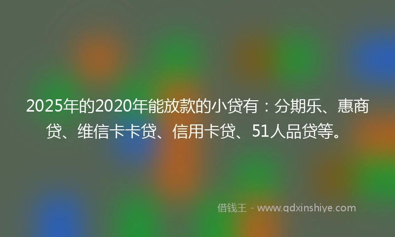2025年的2020年能放款的小贷有：分期乐、惠商贷、维信卡卡贷、信用卡贷、51人品贷等。