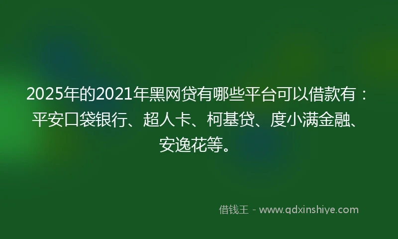 2025年的2021年黑网贷有哪些平台可以借款有：平安口袋银行、超人卡、柯基贷、度小满金融、安逸花等。