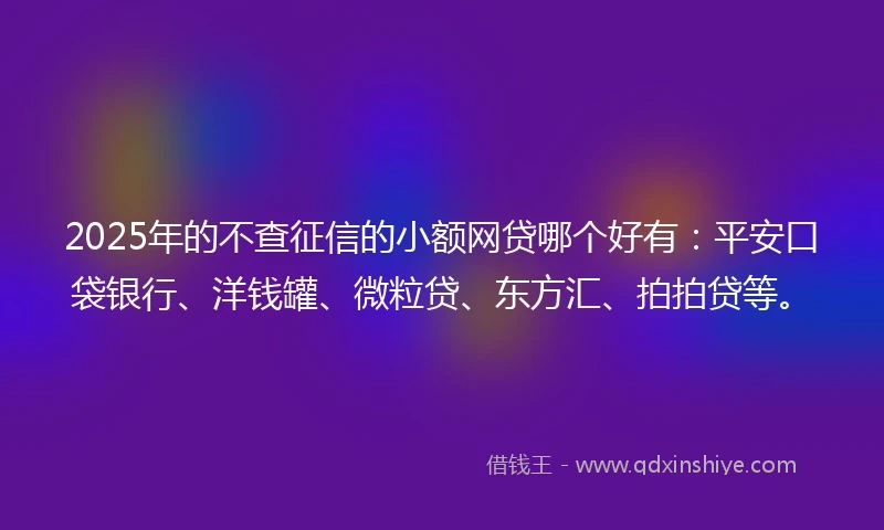 2025年的不查征信的小额网贷哪个好有：平安口袋银行、洋钱罐、微粒贷、东方汇、拍拍贷等。