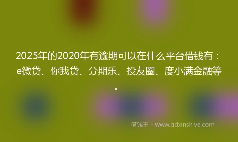 2025年的2020年有逾期可以在什么平台借钱有：e微贷、你我贷、分期乐、投友圈、度小满金融等。
