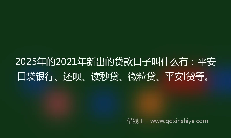 2025年的2021年新出的贷款口子叫什么有：平安口袋银行、还呗、读秒贷、微粒贷、平安i贷等。