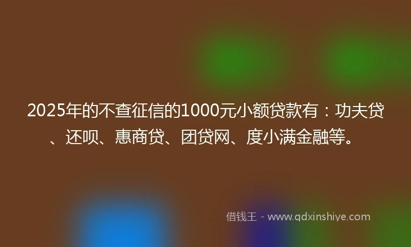 2025年的不查征信的1000元小额贷款有：功夫贷、还呗、惠商贷、团贷网、度小满金融等。
