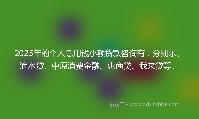 2025年的个人急用钱小额贷款咨询有：分期乐、滴水贷、中原消费金融、惠商贷、我来贷等。