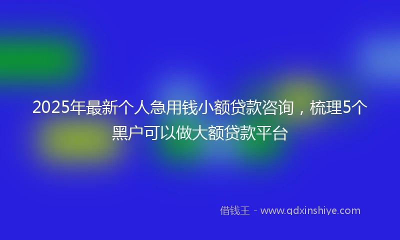 2025年最新个人急用钱小额贷款咨询，梳理5个黑户可以做大额贷款平台