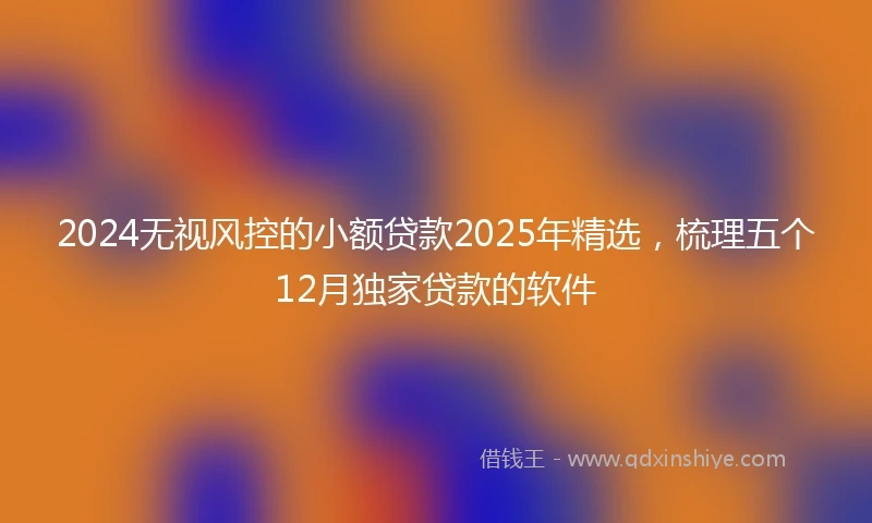 2024无视风控的小额贷款2025年精选，梳理五个12月独家贷款的软件