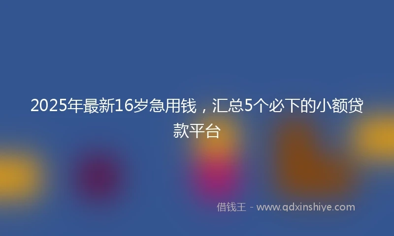 2025年最新16岁急用钱，汇总5个必下的小额贷款平台