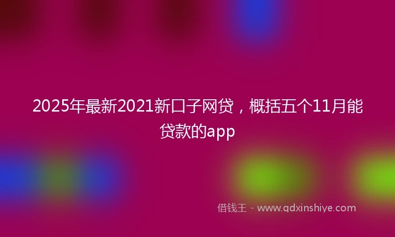 2025年最新2021新口子网贷，概括五个11月能贷款的app