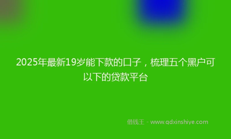 2025年最新19岁能下款的口子，梳理五个黑户可以下的贷款平台