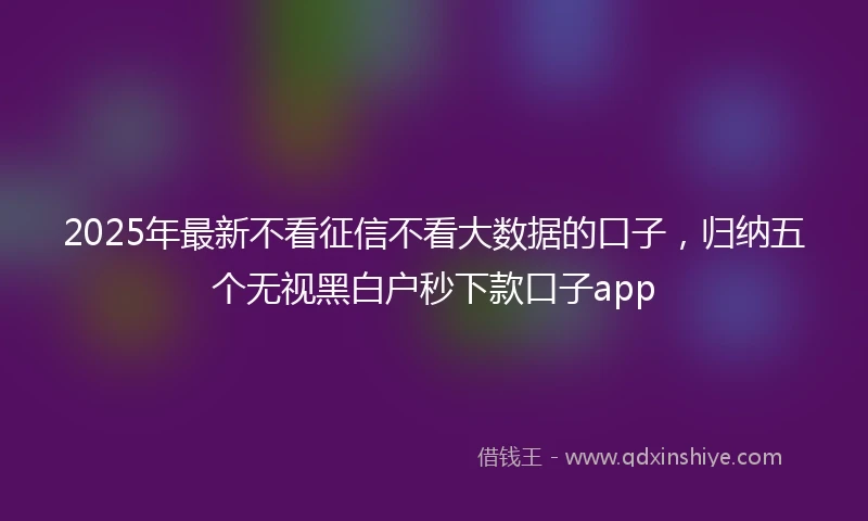 2025年最新不看征信不看大数据的口子，归纳五个无视黑白户秒下款口子app