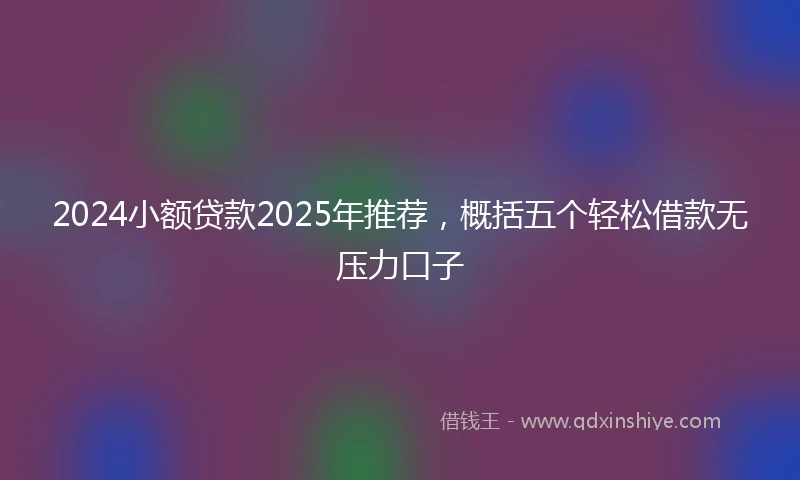 2024小额贷款2025年推荐，概括五个轻松借款无压力口子