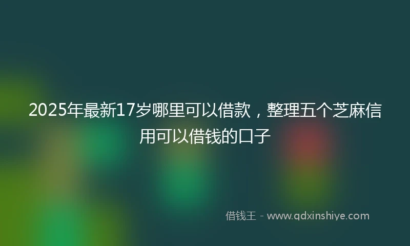 2025年最新17岁哪里可以借款，整理五个芝麻信用可以借钱的口子
