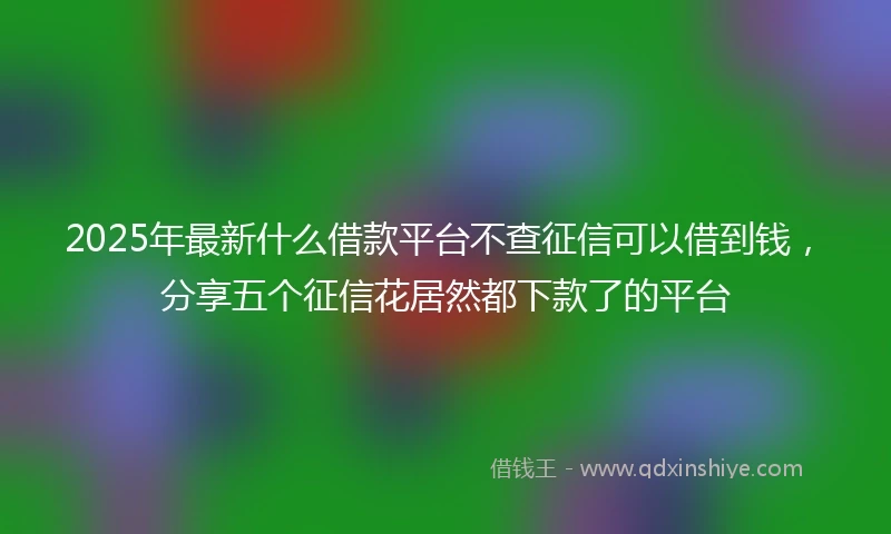 2025年最新什么借款平台不查征信可以借到钱，分享五个征信花居然都下款了的平台