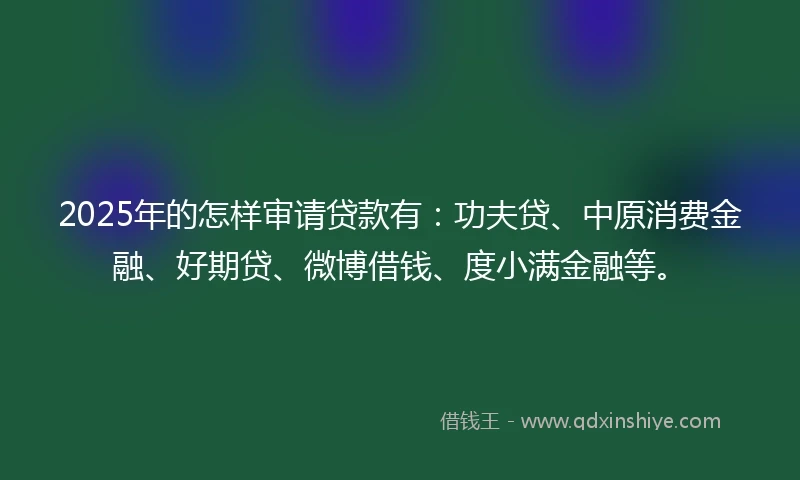 2025年的怎样审请贷款有：功夫贷、中原消费金融、好期贷、微博借钱、度小满金融等。