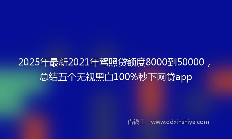 2025年最新2021年驾照贷额度8000到50000，总结五个无视黑白100%秒下网贷app