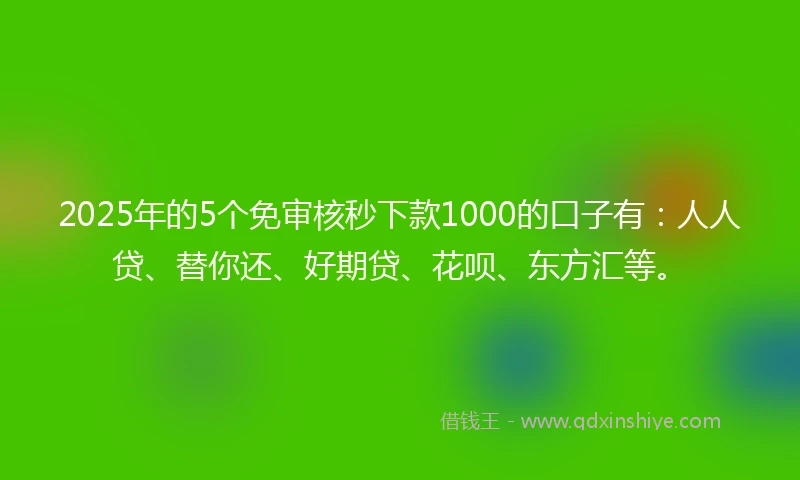 2025年的5个免审核秒下款1000的口子有：人人贷、替你还、好期贷、花呗、东方汇等。