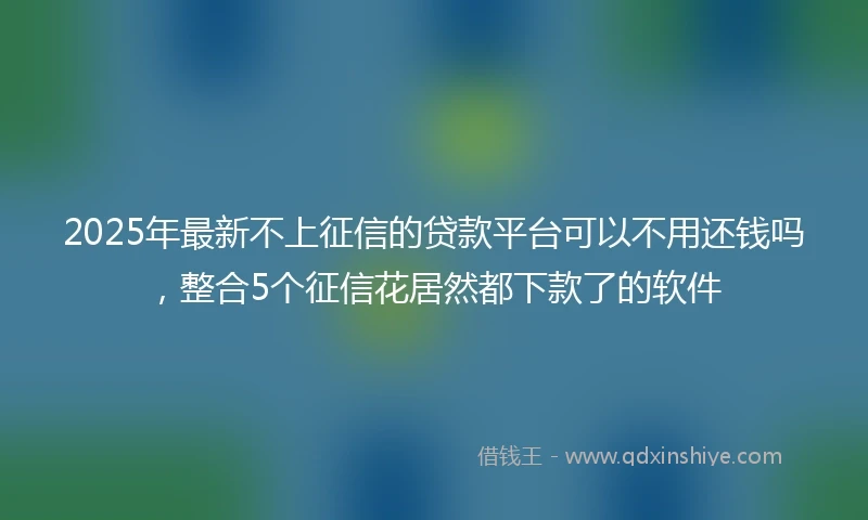 2025年最新不上征信的贷款平台可以不用还钱吗，整合5个征信花居然都下款了的软件