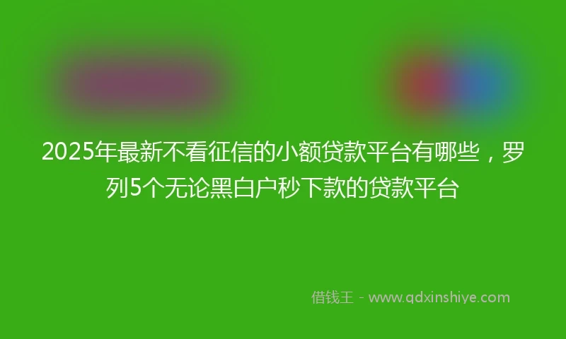 2025年最新不看征信的小额贷款平台有哪些，罗列5个无论黑白户秒下款的贷款平台