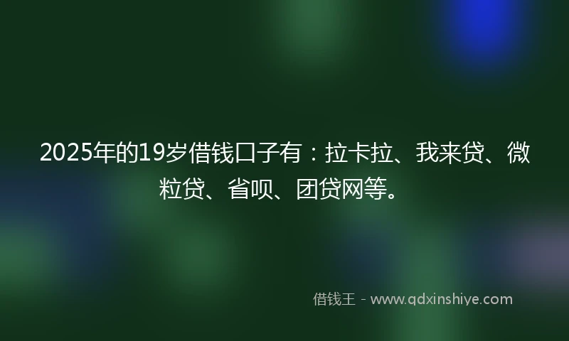 2025年的19岁借钱口子有：拉卡拉、我来贷、微粒贷、省呗、团贷网等。