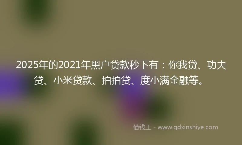 2025年的2021年黑户贷款秒下有：你我贷、功夫贷、小米贷款、拍拍贷、度小满金融等。