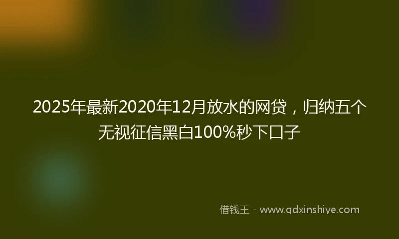 2025年最新2020年12月放水的网贷，归纳五个无视征信黑白100%秒下口子