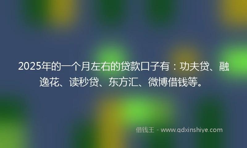 2025年的一个月左右的贷款口子有：功夫贷、融逸花、读秒贷、东方汇、微博借钱等。