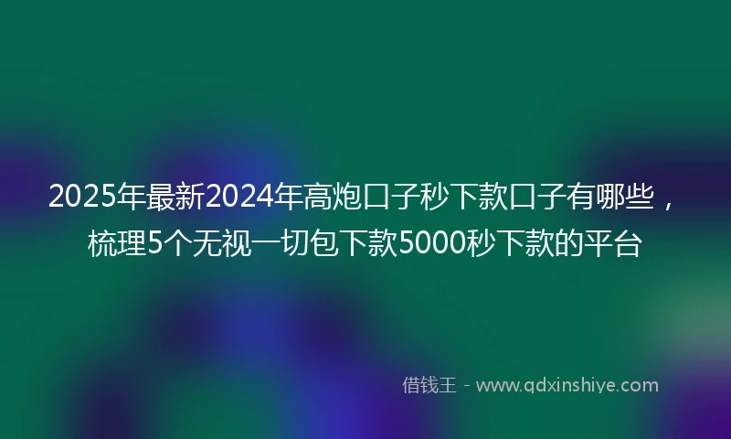 2025年最新2024年高炮口子秒下款口子有哪些，梳理5个无视一切包下款5000秒下款的平台