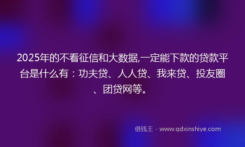 2025年的不看征信和大数据,一定能下款的贷款平台是什么有：功夫贷、人人贷、我来贷、投友圈、团贷网等。