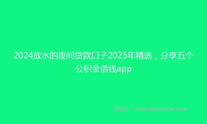 2024放水的夜间贷款口子2025年精选，分享五个公积金借钱app