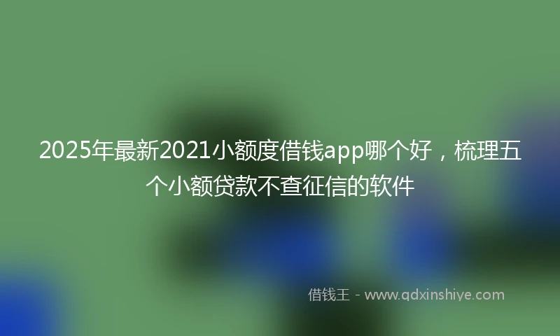 2025年最新2021小额度借钱app哪个好，梳理五个小额贷款不查征信的软件