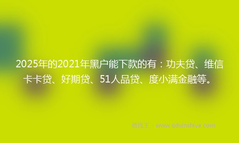 2025年的2021年黑户能下款的有：功夫贷、维信卡卡贷、好期贷、51人品贷、度小满金融等。